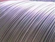 Φ1.55mm Tire Copper Clad Steel Wire , Bronze coated 0.30-1.5g/kg
