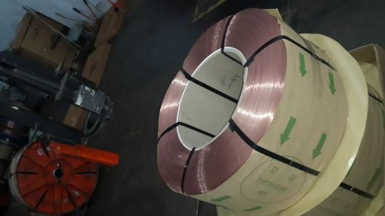 Acciaio rivestito bronzeo del cerchietto per la bici